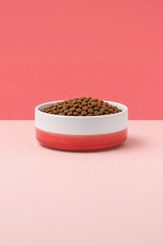 Mehowl — Norvane Creative