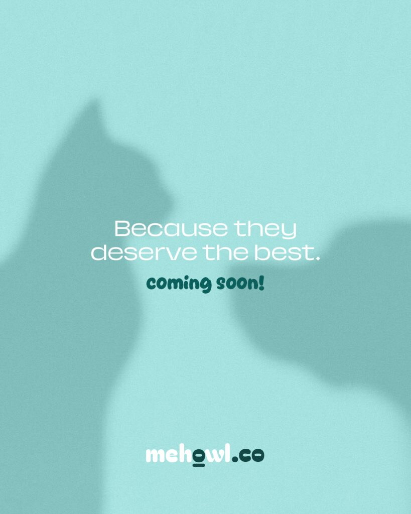 Mehowl — Norvane Creative